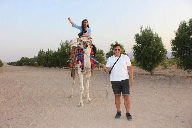 1 Hour horse Ride and Jeep adventure with stargazing -Hurghada - Dinner after dark