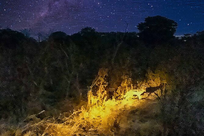 2 Hour Stargazing Tour in Victoria Falls NP Area in 4x4 - What the astronomy portion can deliver
