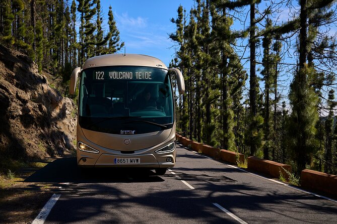 Astronomic Small-Group Tour on Tenerife Teide Observatory - Why Teide Observatory makes this tour different
