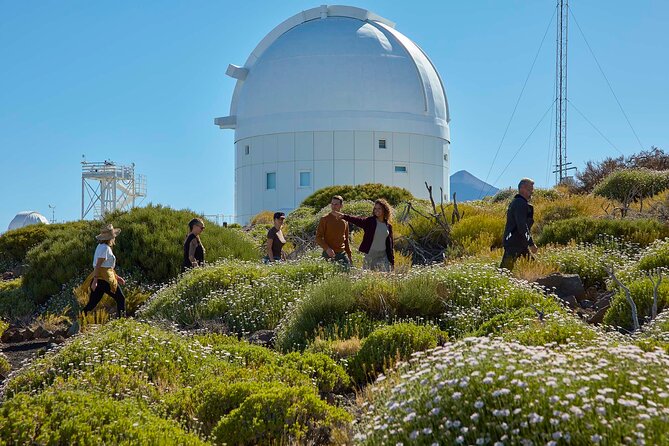 Astronomic Small-Group Tour on Tenerife Teide Observatory - How the eight-hour schedule affects your day