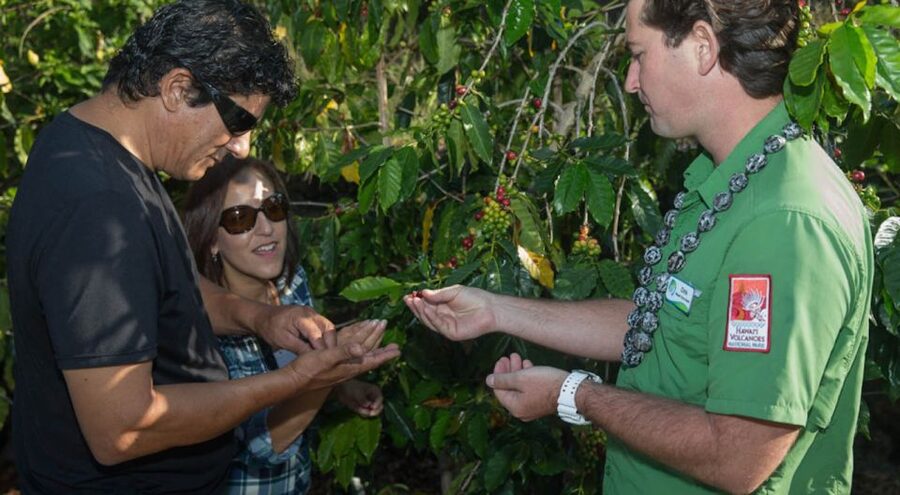 Big Island, Hawaii: Volcano and Stargazing Tour with Dinner - Is $297 a fair price?