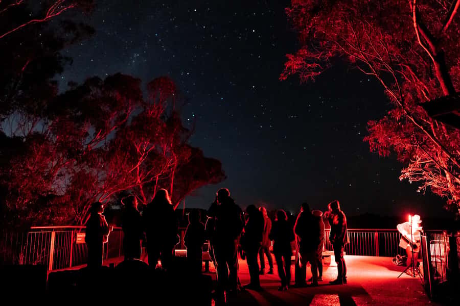 Blue Mountains: Stargazing with a Telescope and Astronomer - Hot chocolate, blankets, and the cold factor
