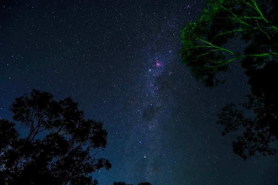 Blue Mountains: Stargazing with a Telescope and Astronomer - Who will enjoy Blue Mountains Stargazing?