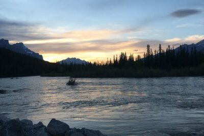 Stargazing and Nature by Nightfall Walking Tour – 2hr
