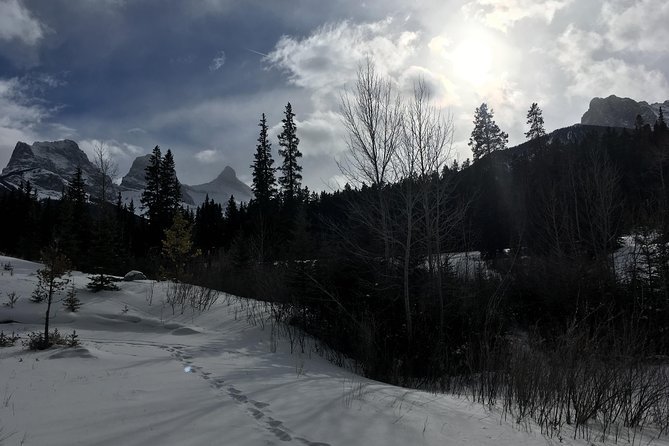 Canmore: Stargazing and Nature by Nightfall Walking Tour - 2hr - Local stories from guides such as Jacob