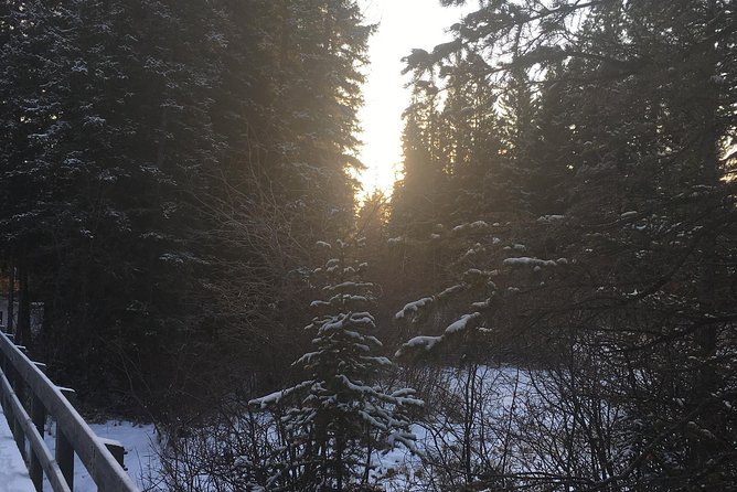 Canmore: Stargazing and Nature by Nightfall Walking Tour - 2hr - Timing, weather, and arriving prepared