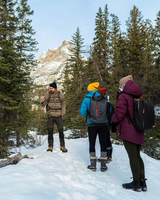 Canmore: Stargazing and Night Adventure - Practical preparation for the evening