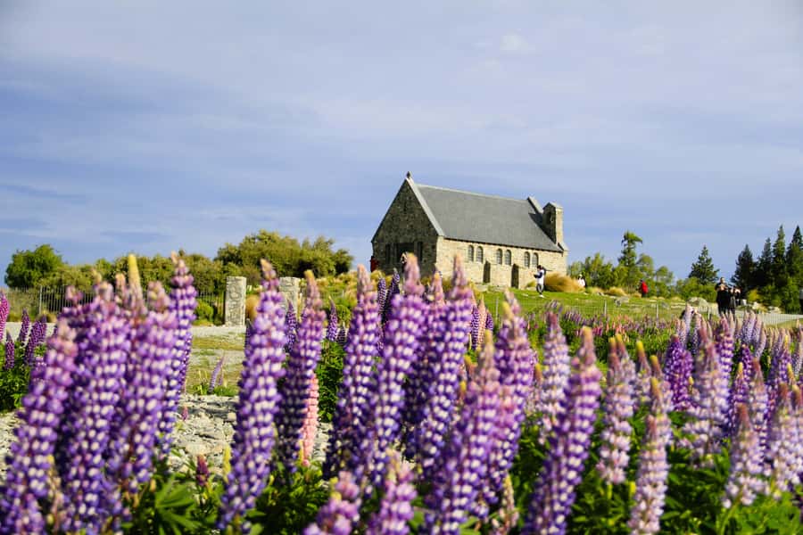 Christchurch: Lake Tekapo Stargazing & Mount Cook 2-Day Tour - Key points at a glance