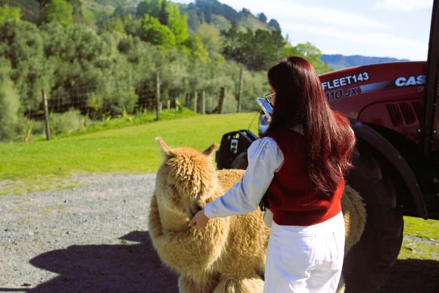 Christchurch: Lake Tekapo Stargazing & Mount Cook 2-Day Tour - Lavender, ice cream, or a mountain lookout