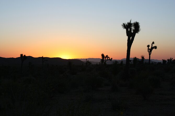 Death Valley Small Group Day Tour with Sunset and Stargazing - Why this Death Valley trip works so well from Las Vegas