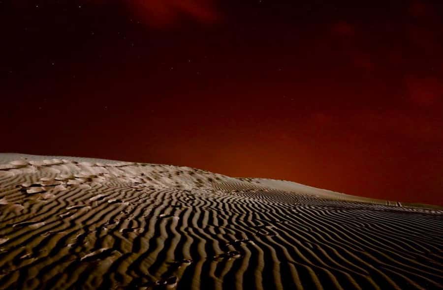 Doha Night Desert Safari Stargazing And Camel Ride - Key points at a glance