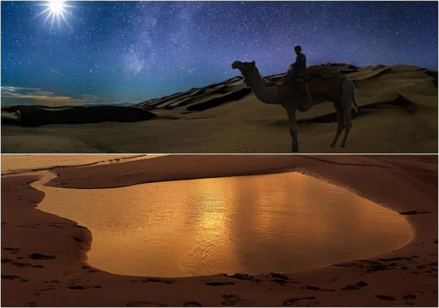 Doha Night Desert Safari Stargazing And Camel Ride - Returning to the Inland Sea after dark