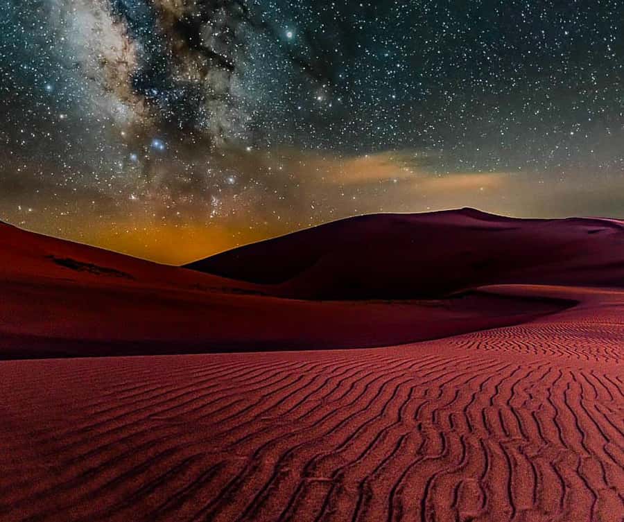 Doha Night Desert Safari Stargazing And Camel Ride - Guides make the difference