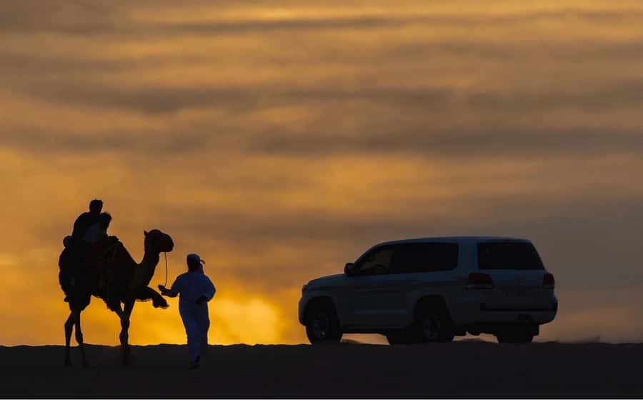 Doha Night Desert Safari Stargazing And Camel Ride - What to bring for a comfortable evening