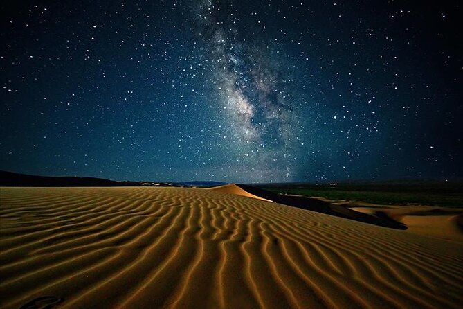 Doha Night Desert Safari Stargazing Camel Ride and Dune Bashing - From Doha to the quiet of the Qatar Desert