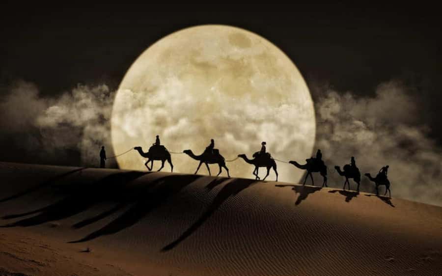 Doha: Night Desert Safari, Stargazing, Dune Driving &Inland - Night dune driving: the main event