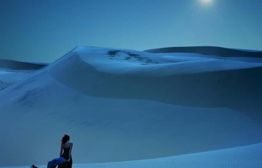 Doha: Night Desert Safari, Stargazing, Dune Driving &Inland - Stargazing under Qatar’s dark sky