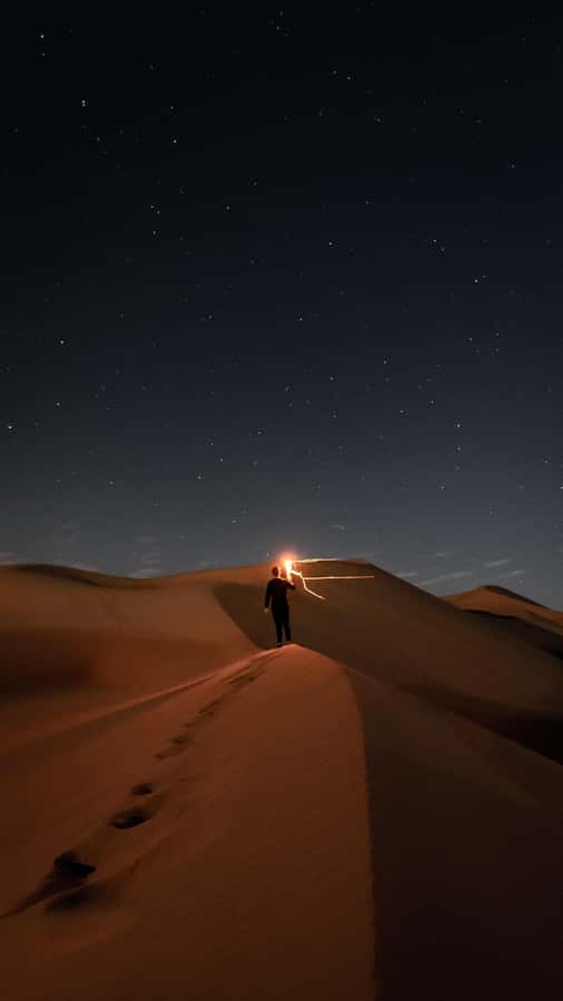 Doha: Night Desert Safari, Stargazing, Dune Driving &Inland - Mesaieed tea, camels, and a short break