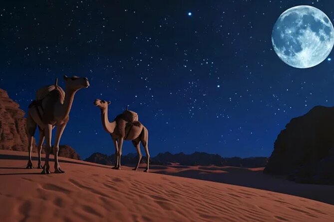Doha Night Desert Safari, Stargazing, Photography، Relaxation - Stargazing far from Doha’s lights