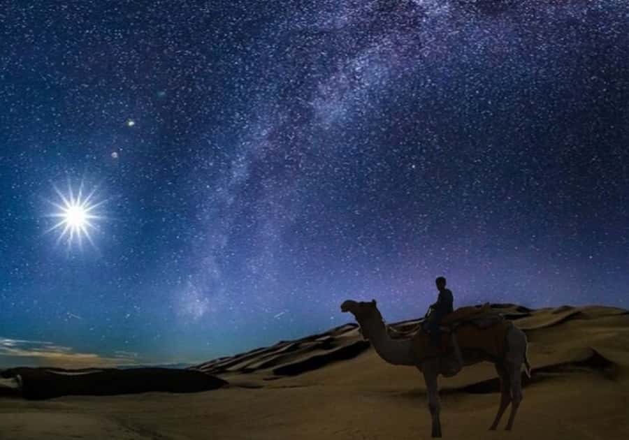 Doha: Night Desert Safari with Stargazing & Camel Ride - Key points to know before you book