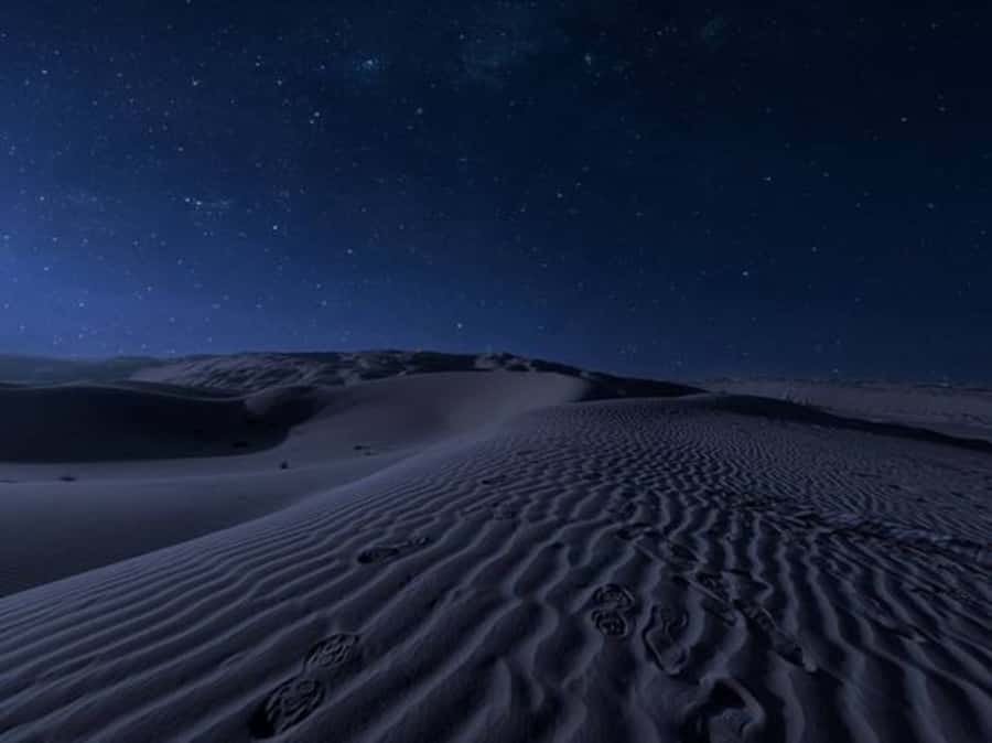 Doha: Night Desert Safari with Stargazing & Camel Ride - Night-time dune bashing in a Toyota Land Cruiser