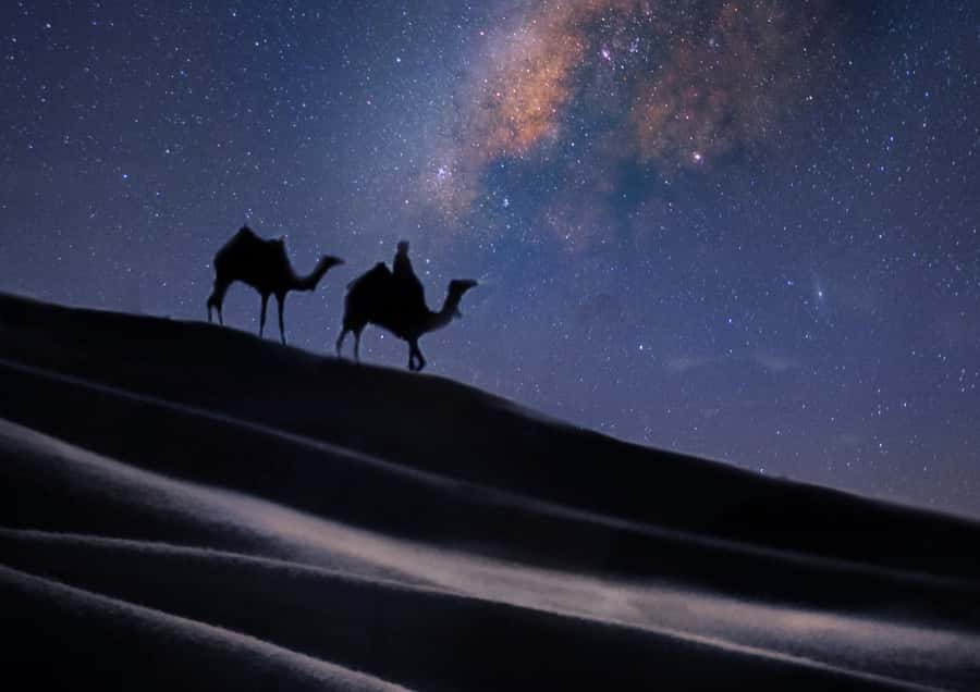 Doha: Night Desert Safari with Stargazing & Camel Ride - The return drive and what the four hours really mean