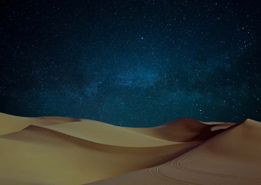 Doha: Night Desert Safari with Stargazing & Camel Ride - Is $40 a fair price?