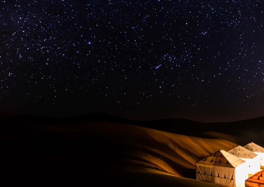 Doha: Night Desert Safari with Stargazing & Camel Ride - Who will enjoy this desert safari most?
