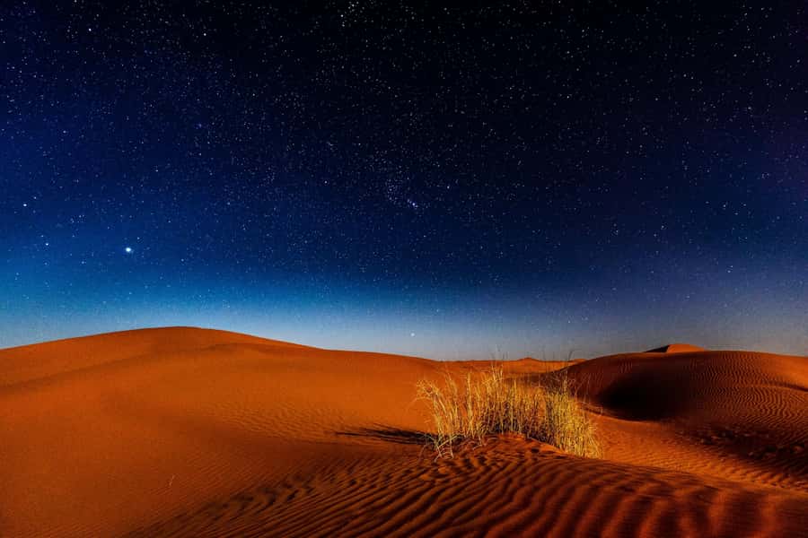 Doha: Private Desert Safari at Night with Stargazing - From Doha to the dunes in a private 4x4