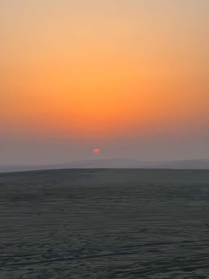 Doha: Stargazing Desert Safari w/ Dune Bashing & Camel Ride - Dune bashing and sandboarding without losing the scenery