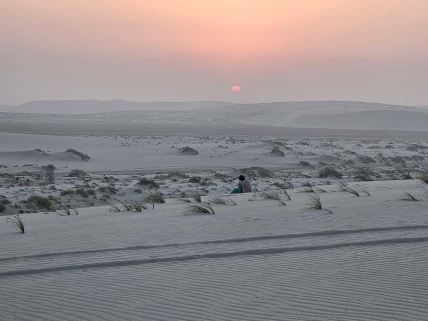 Doha Sunrise/Sunset or Night Stargazing desert safari. - My verdict on the desert safari