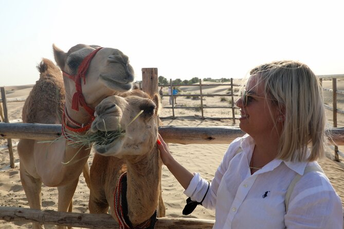 Dubai: Al Marmoom Oasis Vintage Safari: Camels, Stargazing & Meal - Reaching Al Marmoom from Dubai