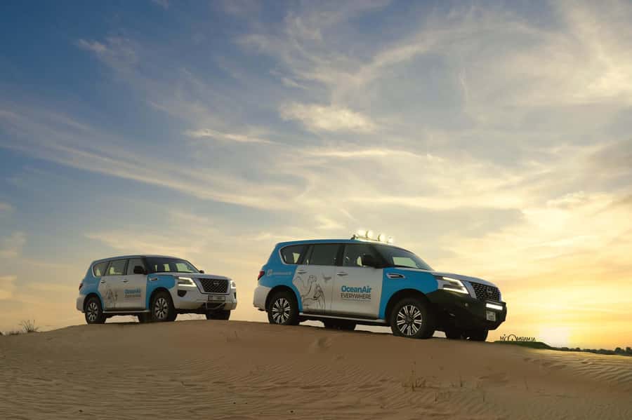 Dubai: Evening Desert Safari with Camel Ride & Stargazing - Al Marmoom Oasis and the camel ride