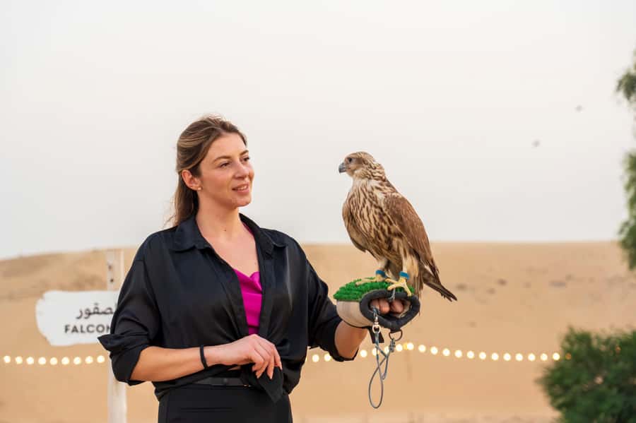 Dubai: Evening Desert Safari with Camel Ride & Stargazing - Falcon photos, horses, and the wildlife walk