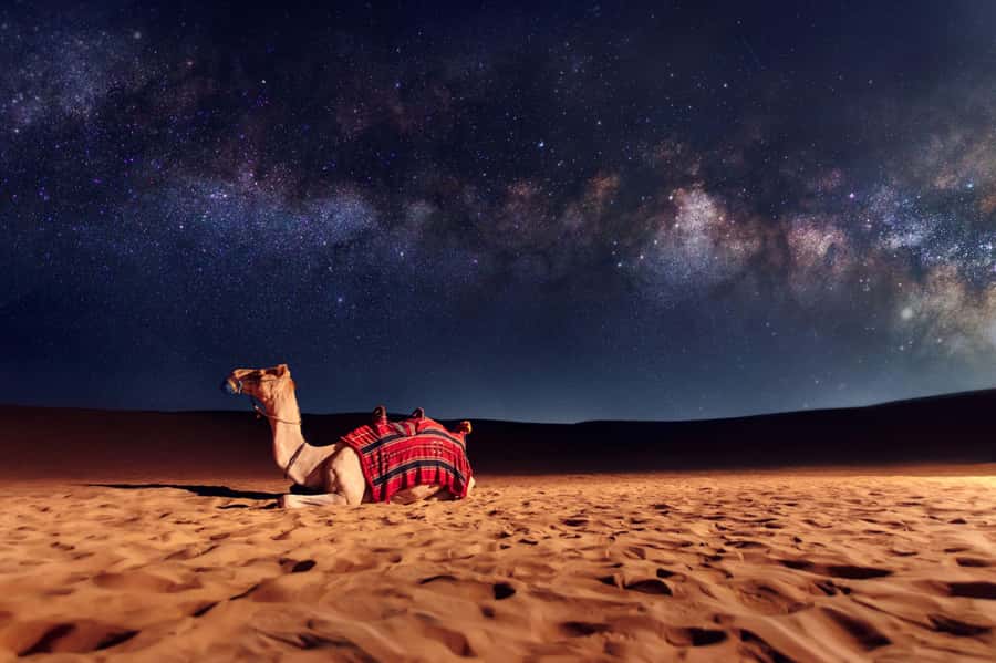 Dubai: Evening Desert Safari with Camel Ride & Stargazing - Dinner and the difference between packages