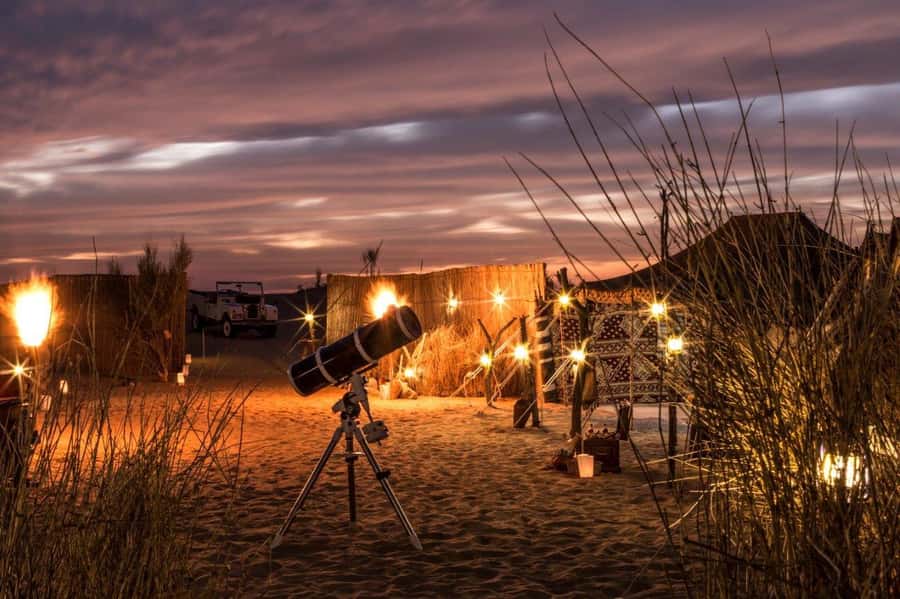 Dubai: Private Night Safari & Astronomy with 3-Course Dinner - Searching the reserve after dark