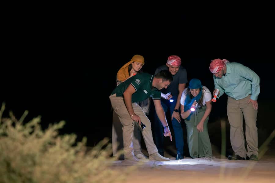 Dubai: Private Night Safari & Astronomy with 3-Course Dinner - Is $816 per person good value?