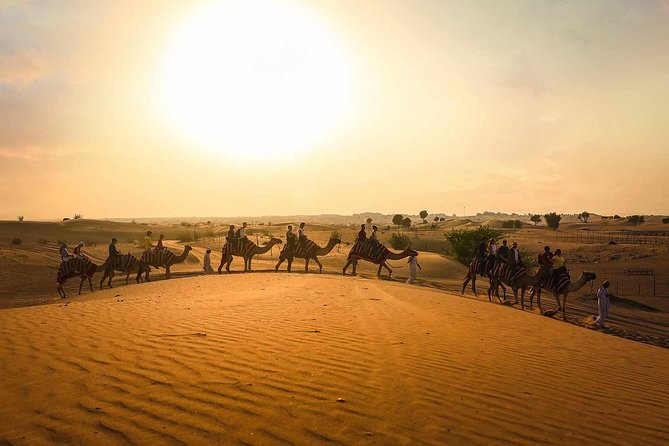 Dubai: Sunset Camel Trek, Al Khayma Camp, Stargazing & BBQ - Key points at a glance
