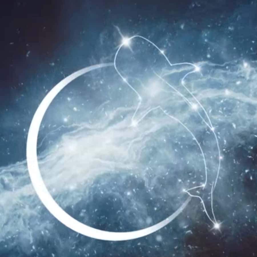 Esperance: Astronomy Night Experience - Esperance after dark: why the setting matters