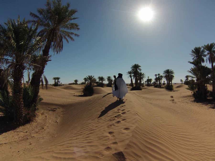 From Marrakech: Private Chegaga Desert Star Gazing 4WD Tour - What the $635 price really covers