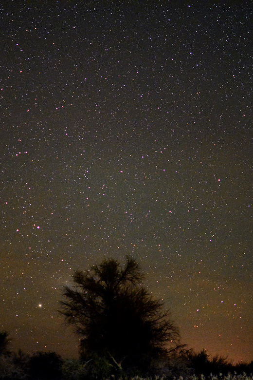 From San Pedro de Atacama: Astronomy Tour - Space music, desert lights, and a hot drink
