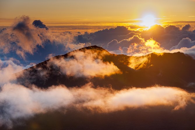 Haleakala Sunset and Stargazing Audio Tour - Hosmer’s Grove brings a different Haleakalā