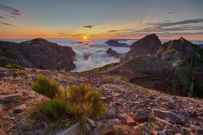 Heavens Tour: Sunset & Stargazing in Madeira - How to get the best value from the $414.02 price