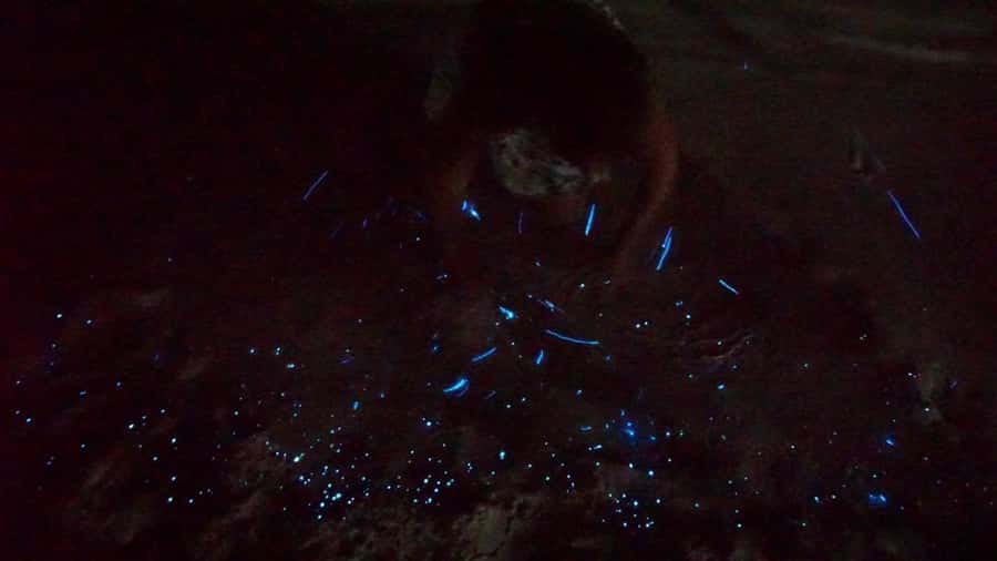 Holbox: Bioluminescence by Kayak and Stargazing. - Who should choose this night tour