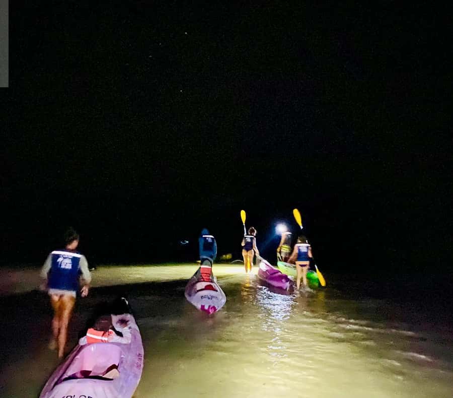 Holbox: Bioluminescence by Kayak and Stargazing. - Why Holbox glows after dark