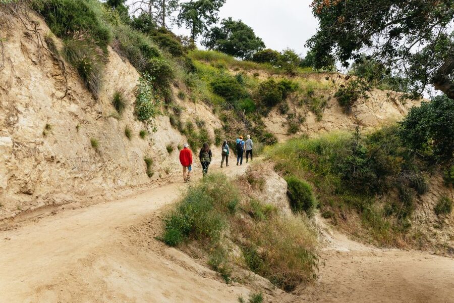 Hollywood Sign Hiking Tour to Griffith Observatory - Should you book it?