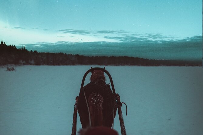 Horse Sleigh Ride Under The Night Sky in Apukka Resort, Rovaniemi - Why a night sleigh ride feels different