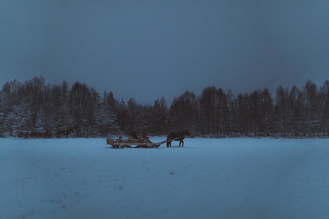 Horse Sleigh Ride Under The Night Sky in Apukka Resort, Rovaniemi - A bonfire at the forest edge
