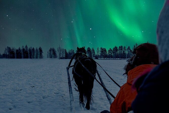 Horse Sleigh Ride Under The Night Sky in Apukka Resort, Rovaniemi - Staying warm in Arctic darkness
