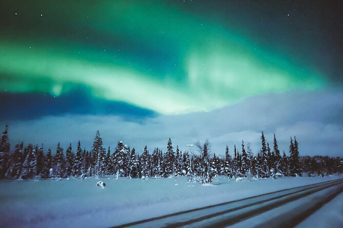 Horse Sleigh Ride Under The Night Sky in Apukka Resort, Rovaniemi - What the $184.06 price includes in practical terms